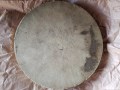 Kürbiskernplatten zum Angeln 25kg